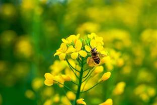 弹无虚发！锡安首节5中5拿到13分3助